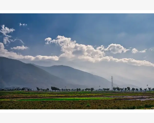 经期补血的水果，缓解月经不适的中医智慧