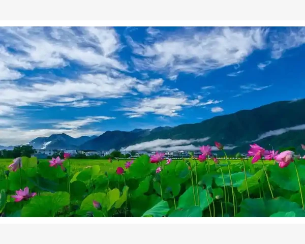 B2B仓储管理实战技巧提升周转效率